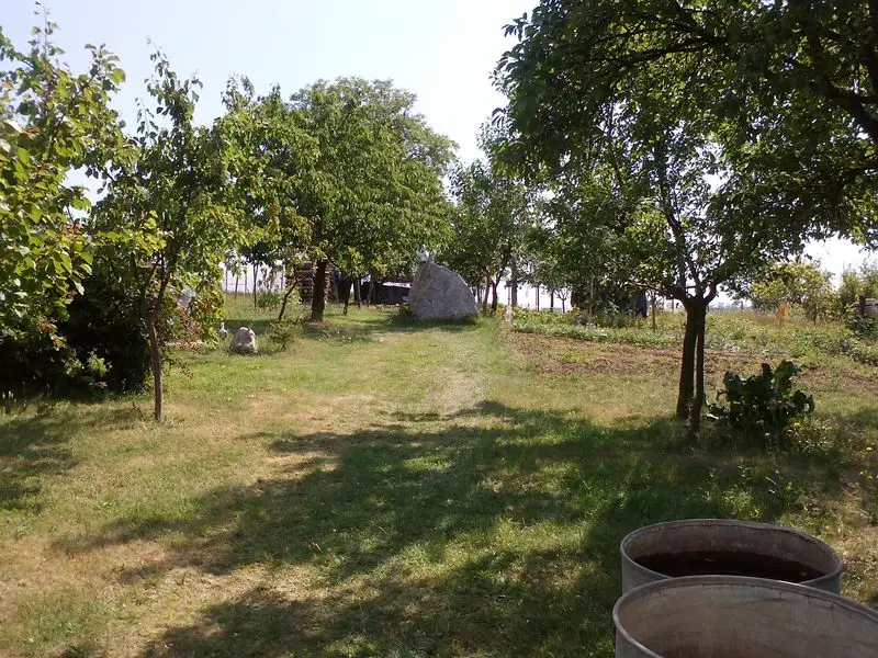 Fotografie nemovitosti